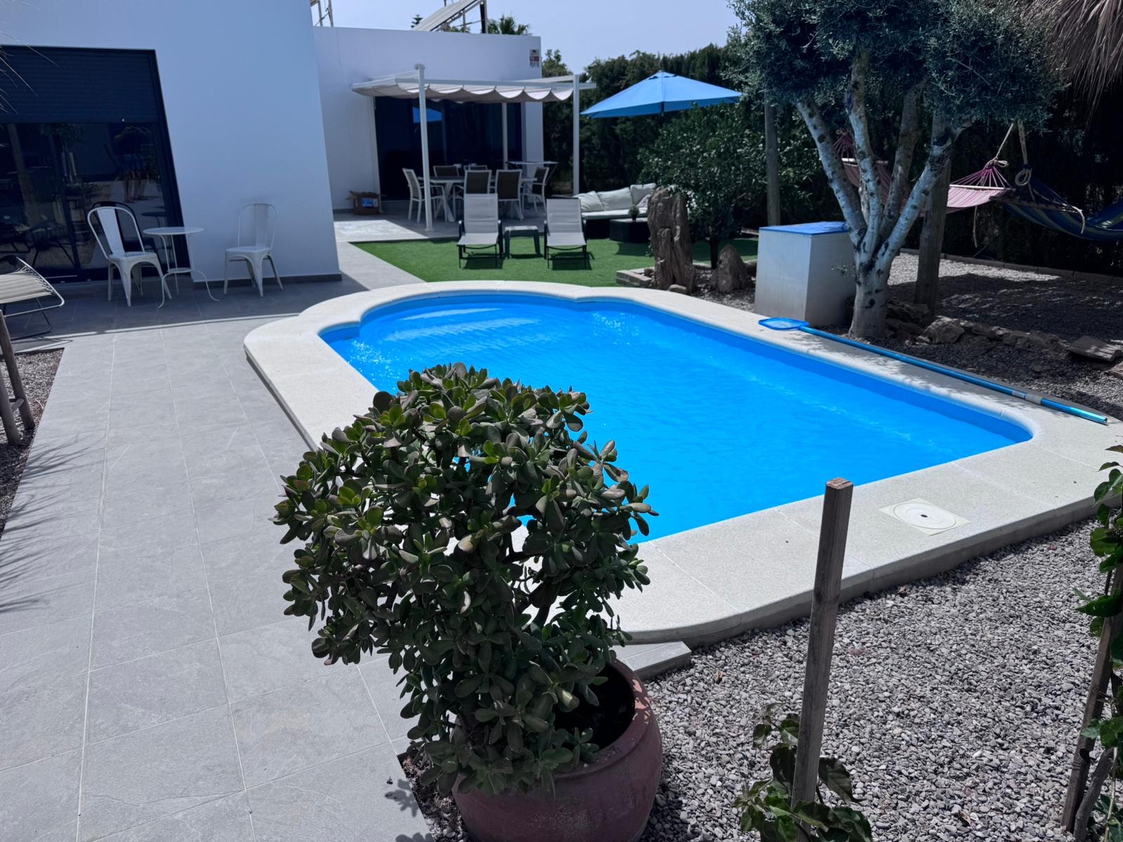 Piscina privada con jardín y zona de descanso