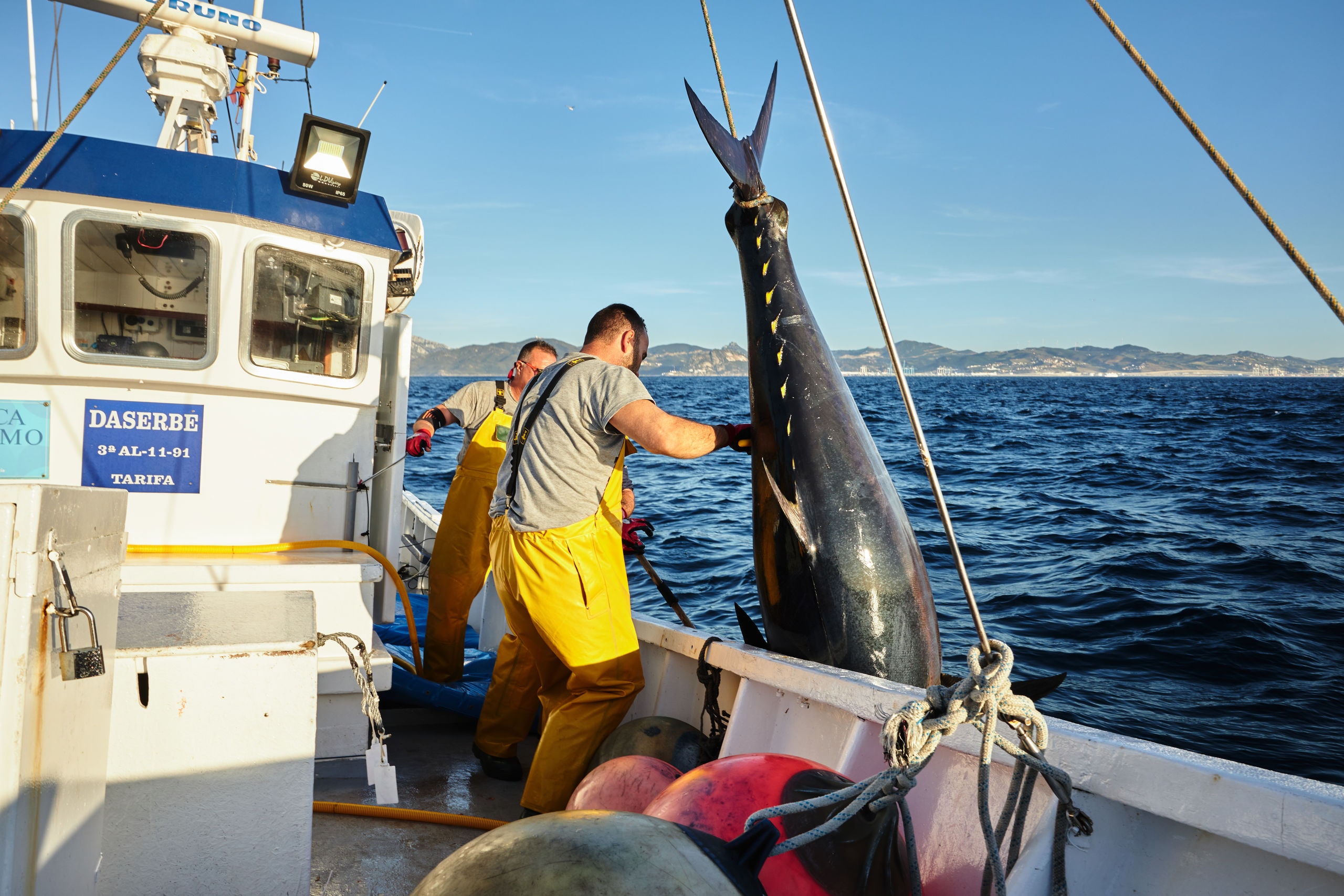 Pesca en la costa de Cádiz
