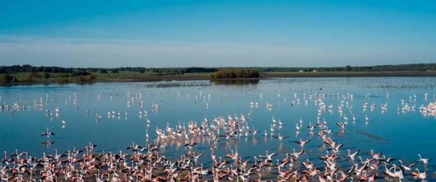 Parque Nacional Doñana